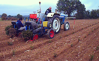 plantation-des-jeunes-sapins