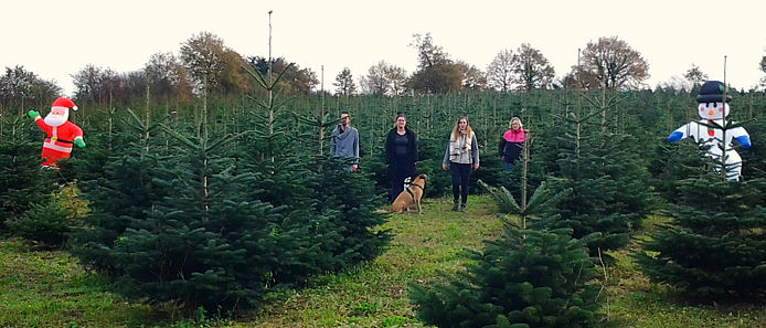 recoltant-sapins-loire-atlantique-bretagne-ouest